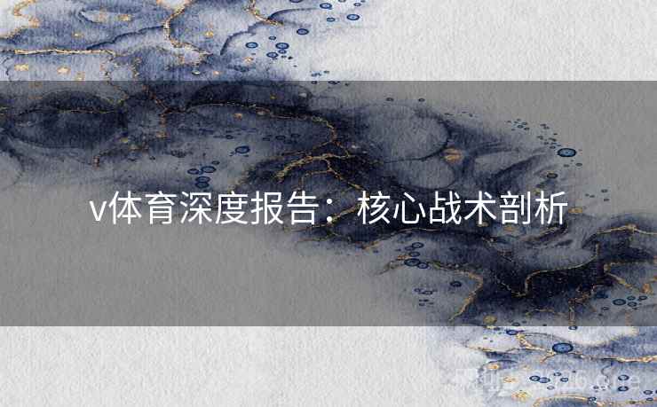 v体育深度报告：核心战术剖析  第2张