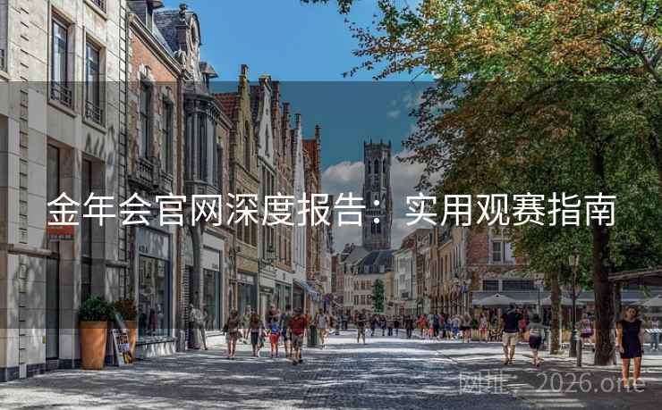 金年会官网深度报告：实用观赛指南