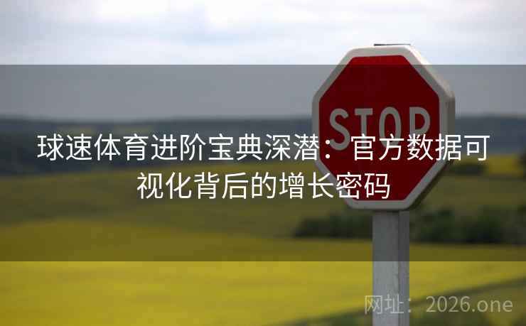 球速体育进阶宝典深潜：官方数据可视化背后的增长密码