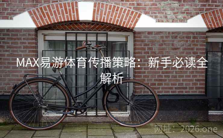 MAX易游体育传播策略：新手必读全解析