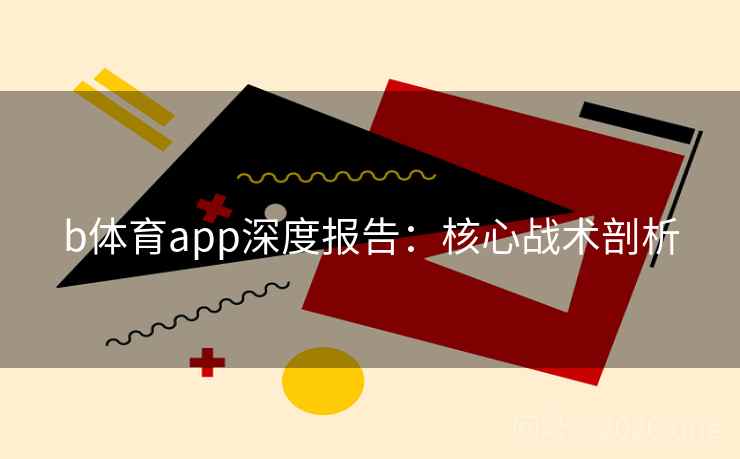 b体育app深度报告：核心战术剖析  第2张