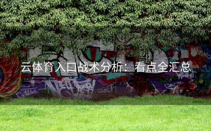 云体育入口战术分析：看点全汇总