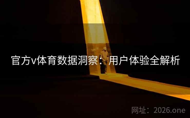 官方v体育数据洞察:用户体验全解析