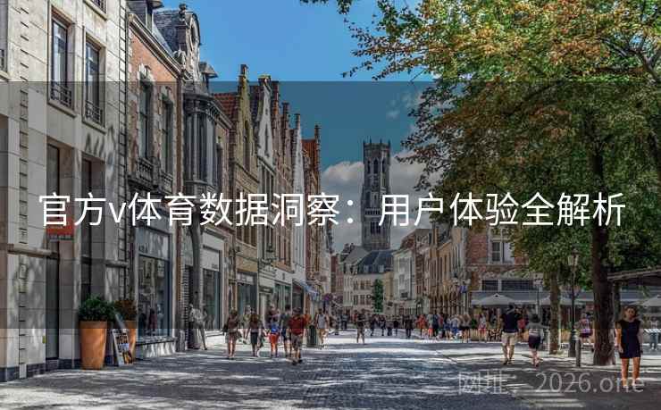 官方v体育数据洞察:用户体验全解析