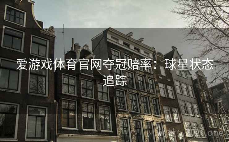 爱游戏体育官网夺冠赔率:球星状态追踪